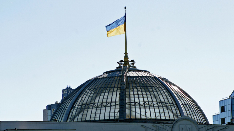 Кабмин Украины не разработал в срок проект о демобилизации, заявили в Раде